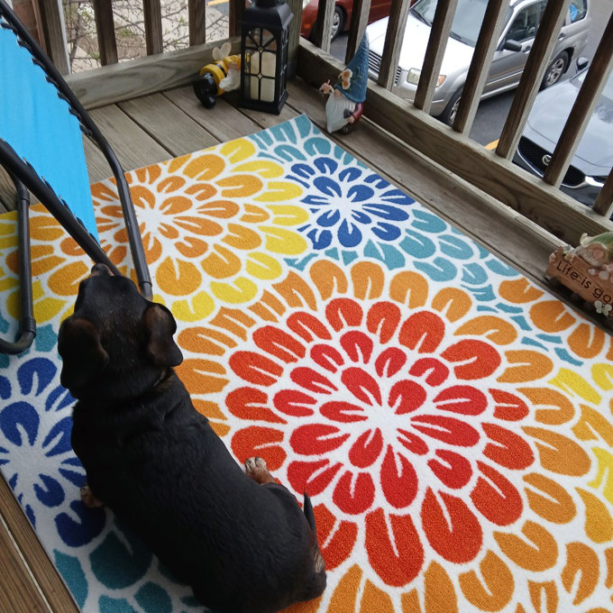 DECOMALL SUNSHINE Floral Outdoor Area Rug Yellow/Red/Blue